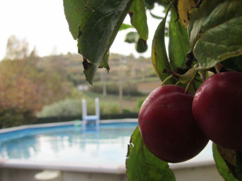 Quintal Do Freixo - Country House Sobral de Monte Agraço 외부 사진